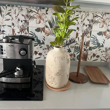 The Loft Canteras Santa Catalina Pier Apartment *